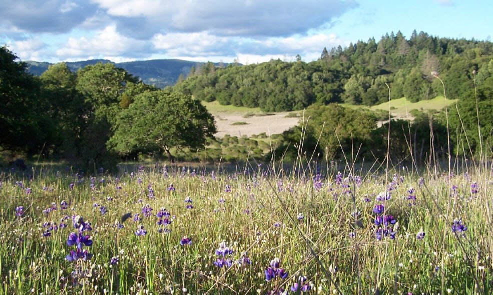 Trione-Annadel State Park, California, USA